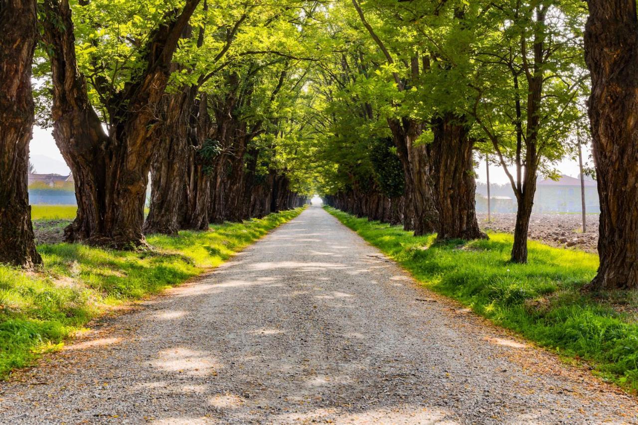 Agriturismo Le Corti Della Gualdana فوغيرا المظهر الخارجي الصورة